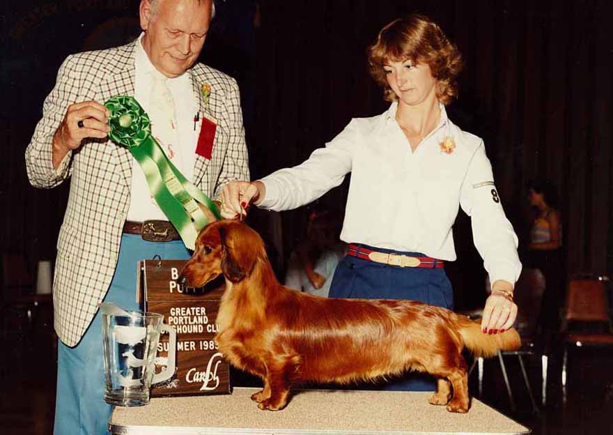 Ch. Timbar's Ruffian - Ruffy
Karen's First Owner Handled Champion
Best Puppy in Specialty