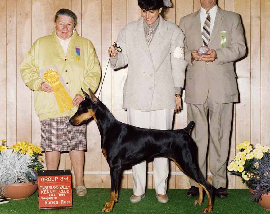 Ch. Sherluck's Silver Cloud - Silvia
Owned by Karen Hamlin and Faye Strauss
Silvia was a beautiful girl with Multiple Group Placements from the classes.