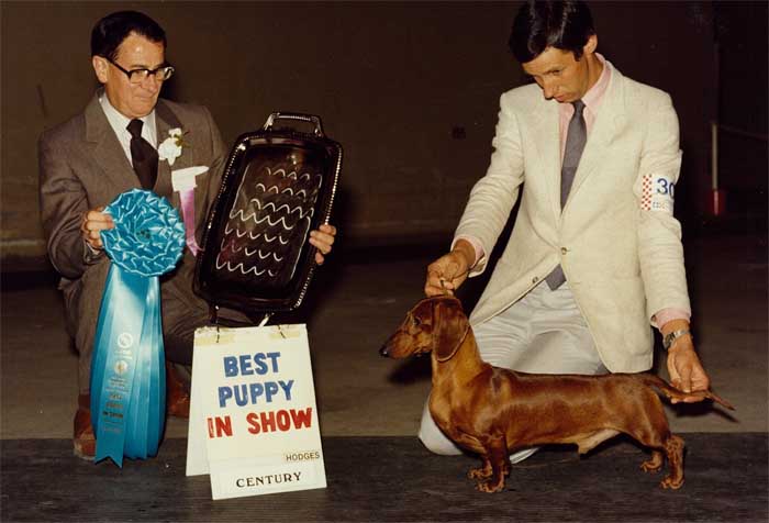 Ru
Owned by blah blah
Best Puppy in Show