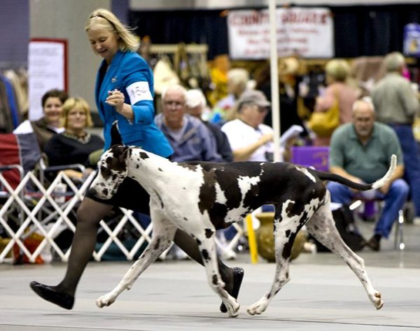 Moving with Star, photo by Mary Ann Land