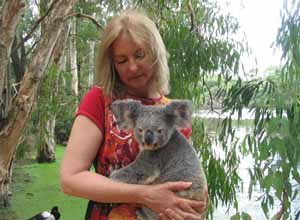 koala pic-300×220